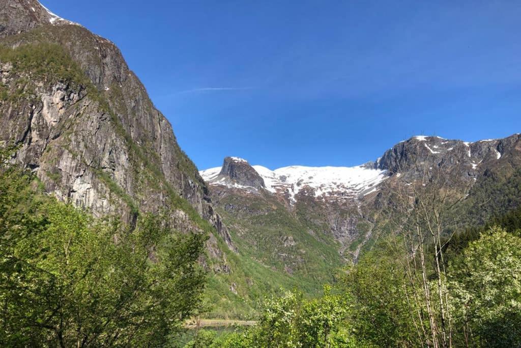 Balestrand Fjordapartments Holmen 19A المظهر الخارجي الصورة
