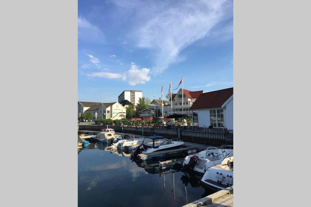 Balestrand Fjordapartments Holmen 19A المظهر الخارجي الصورة