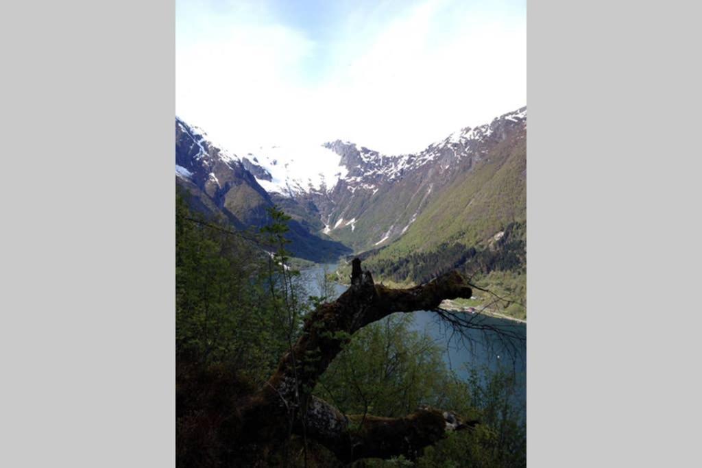 Balestrand Fjordapartments Holmen 19A المظهر الخارجي الصورة