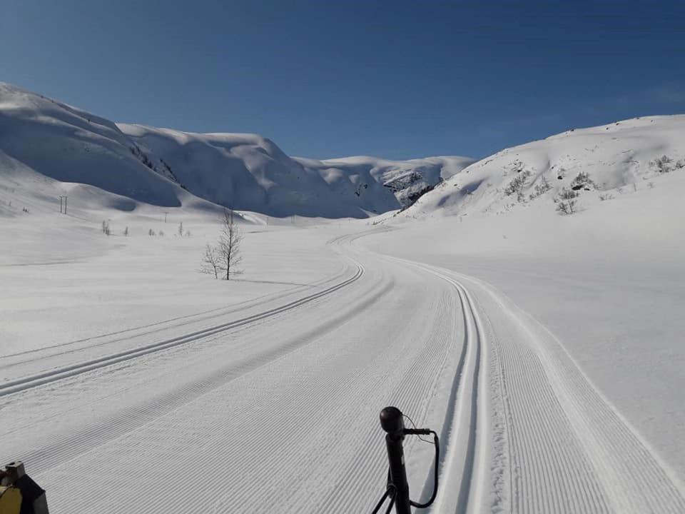 Balestrand Fjordapartments Holmen 19A المظهر الخارجي الصورة